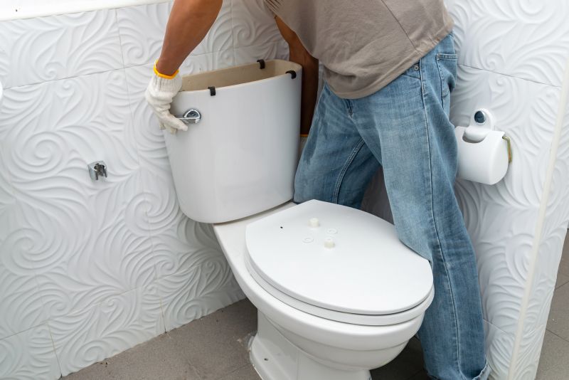 Toilet Installation Service detail